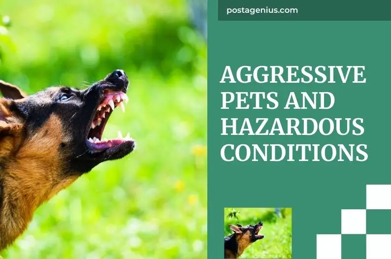 Aggressive Pets and Hazardous Conditions