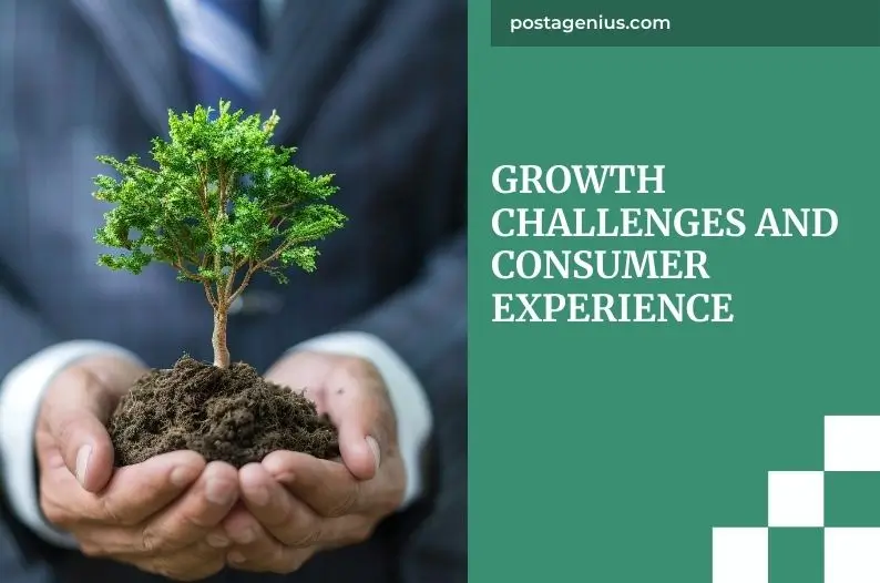 Growth Challenges and Consumer Experience