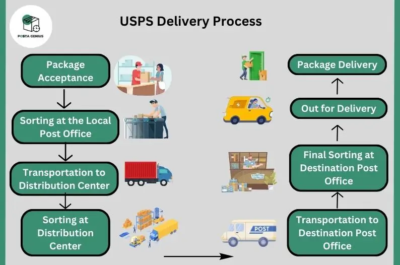 USPS Delivery Process